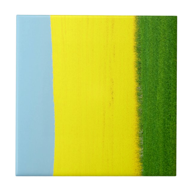 Spring Landscape Meadow Tile (Front)