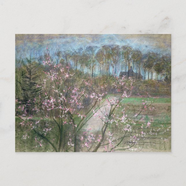 Spring Landscape Postcard (Front)