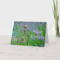 Spring lavendar garden
