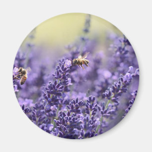 Spring Lavender with Bees Purple Floral Magnet