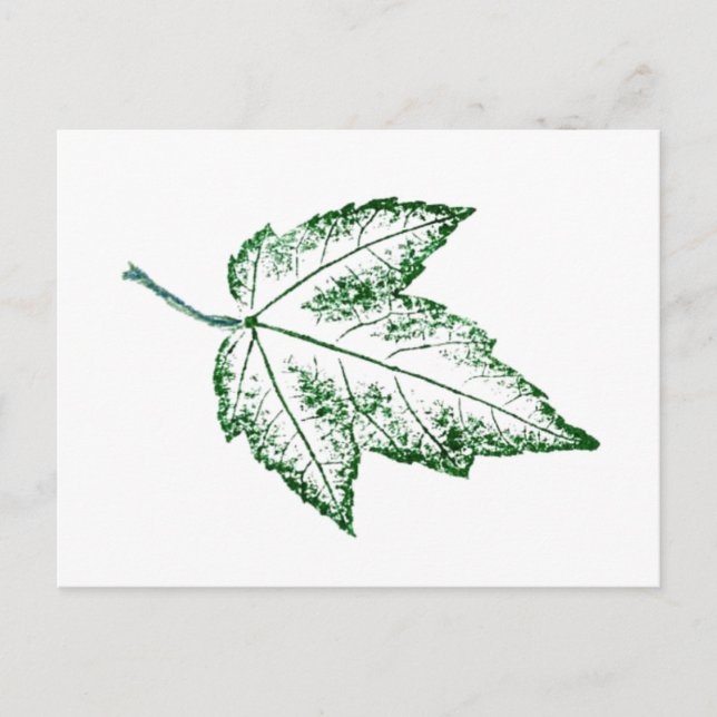 "Spring Leaf" Country Roads Postcard (Front)