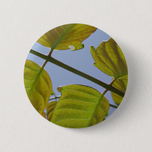 Spring Leaves Button