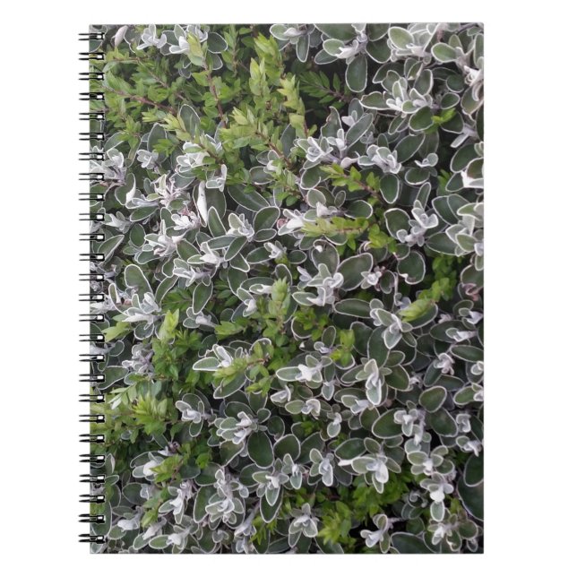 spring leaves of bushes in the park nature pattern notebook (Front)
