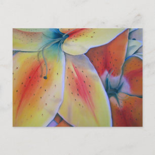 Spring Lilies Postcard