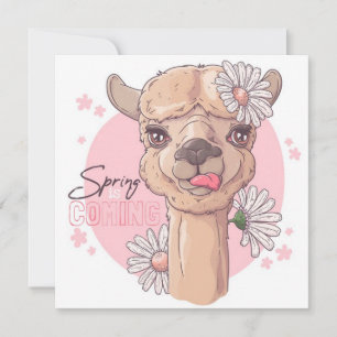 Spring Llama Holiday Card
