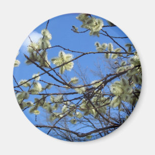 Spring Magnet
