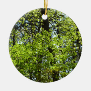 Spring Maple Leaves Nature Ceramic Tree Decoration