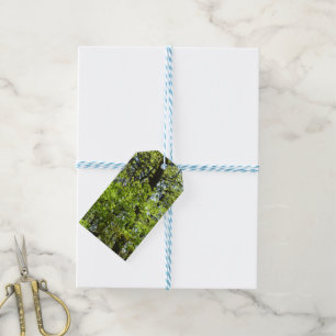 Spring Maple Leaves Nature Gift Tags