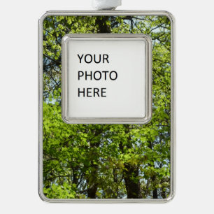 Spring Maple Leaves Nature Silver Plated Framed Ornament