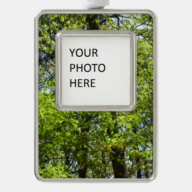 Spring Maple Leaves Nature Silver Plated Framed Ornament (Front)