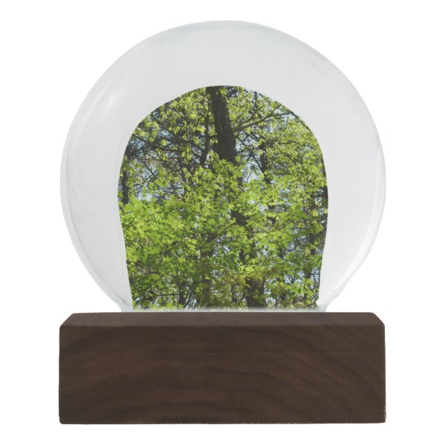Spring Maple Leaves Nature Snow Globe (Front)