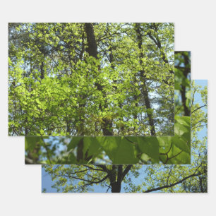 Spring Maple Leaves Nature Wrapping Paper Sheet