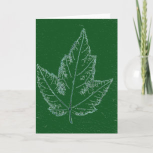"Spring Maple on Green" Country Greeting Card