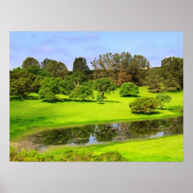 Spring Meadow Poster (Front)