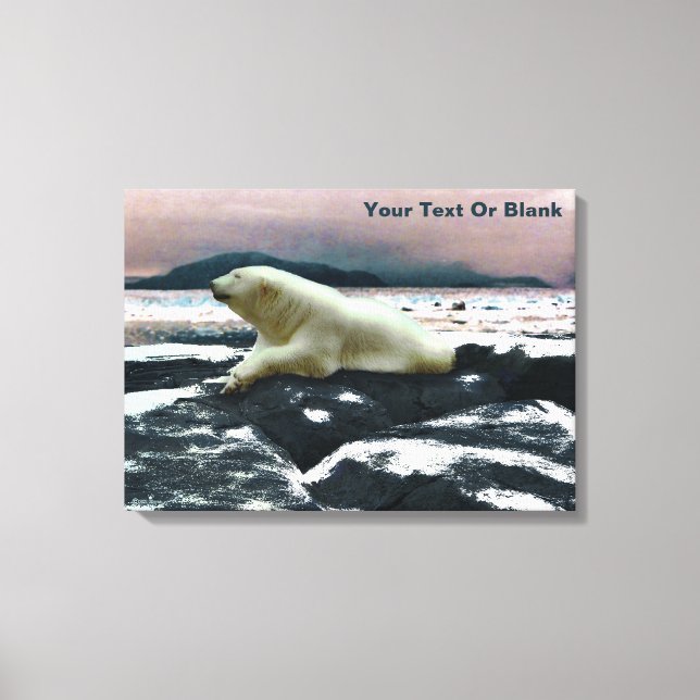 Spring Melt Polar Bear  Canvas Print (Front)