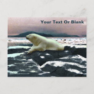 Spring Melt Polar Bear  Postcard