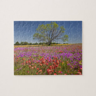 Spring mesquite trees growing in wildflowers, jigsaw puzzle