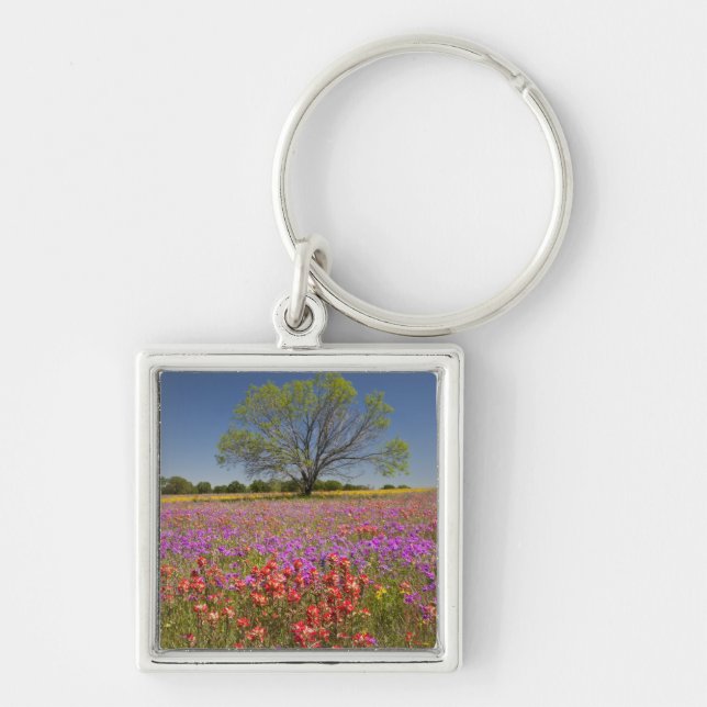 Spring mesquite trees growing in wildflowers, key ring (Front)