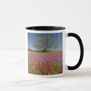 Spring mesquite trees growing in wildflowers, mug