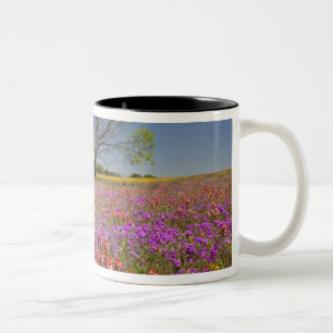 Spring mesquite trees growing in wildflowers, Two-Tone coffee mug