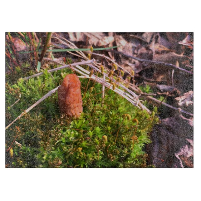 Spring Morel Cutting Board (Front)