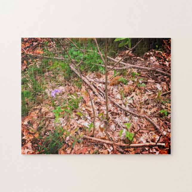 Spring Morel Hunting Jigsaw Puzzle (Horizontal)
