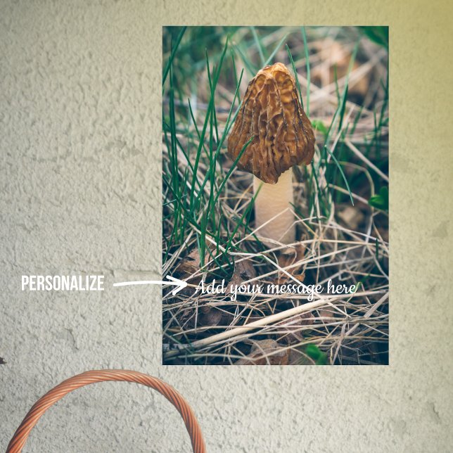 Spring Morel Mushroom Poster (Creator Uploaded)