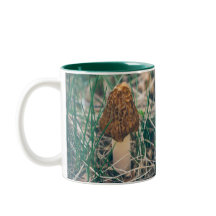 Spring Morel Mushroom