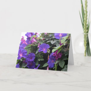 Spring Morning Glories in Blue Holiday Card