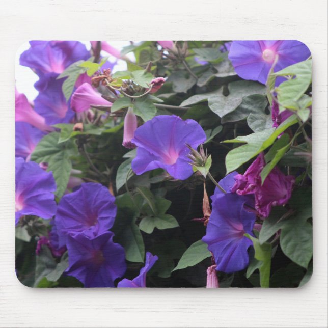 Spring Morning Glories in Blue Mouse Mat (Front)