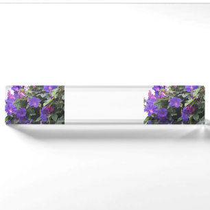 Spring Morning Glories in Blue Nameplate