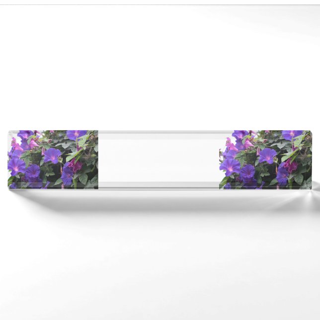 Spring Morning Glories in Blue Nameplate (Front)
