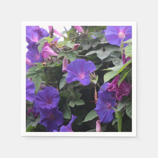 Spring Morning Glories in Blue Napkin (Front)