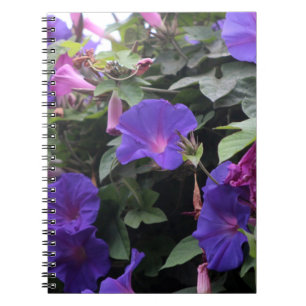 Spring Morning Glories in Blue Notebook