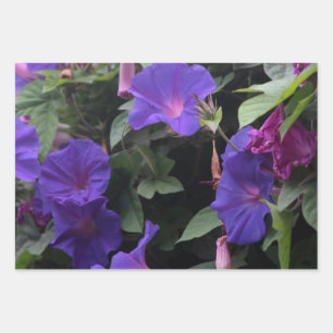 Spring Morning Glories in Blue Wrapping Paper Sheet