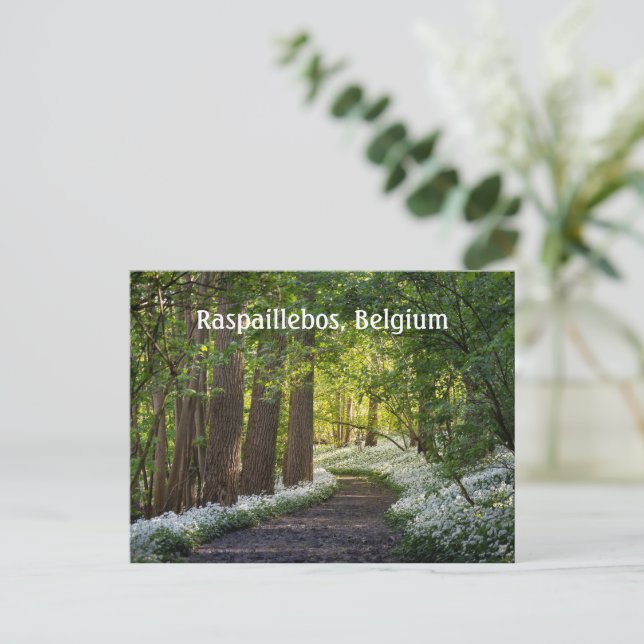 Spring Morning in Raspaillebos, Belgium Postcard (Standing Front)