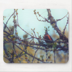 Spring Mouse Mat