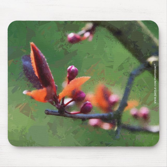 Spring Mouse Mat (Front)