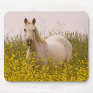 Spring Mouse Mat