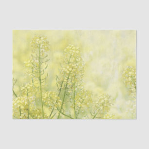 Spring Mustard Tissue Paper