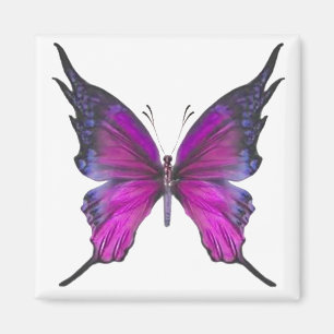 Spring Myst 3 Magnet