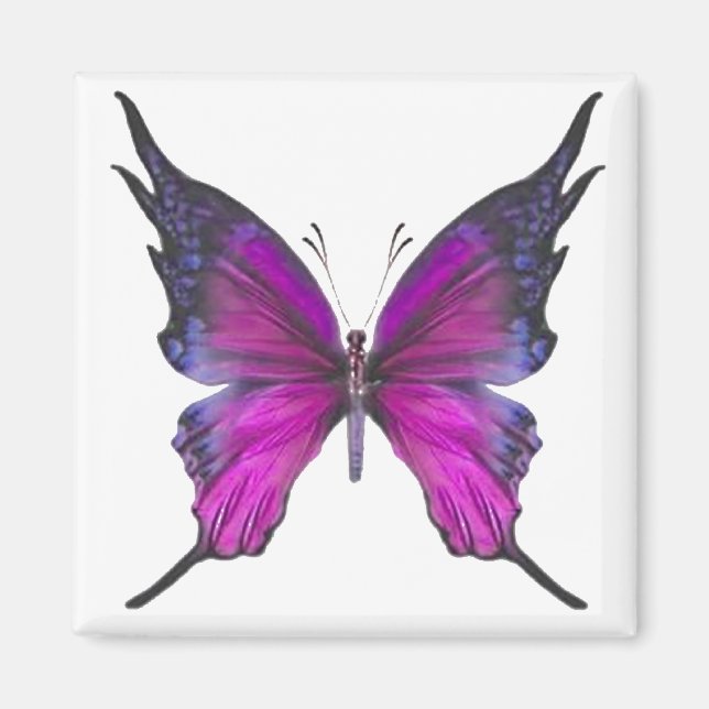 Spring Myst 3 Magnet (Front)