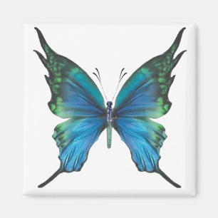 Spring Myst Magnet