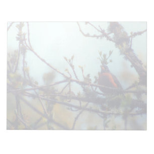 Spring Notepad