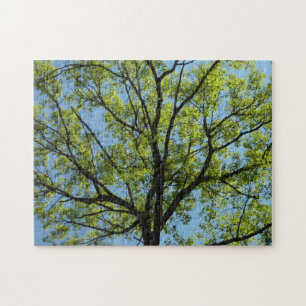 Spring Oak Tree Vibrant Nature Jigsaw Puzzle