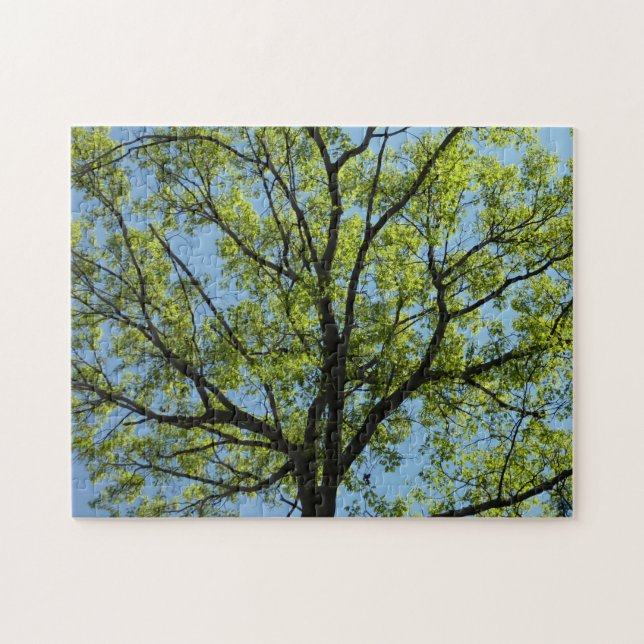 Spring Oak Tree Vibrant Nature Jigsaw Puzzle (Horizontal)