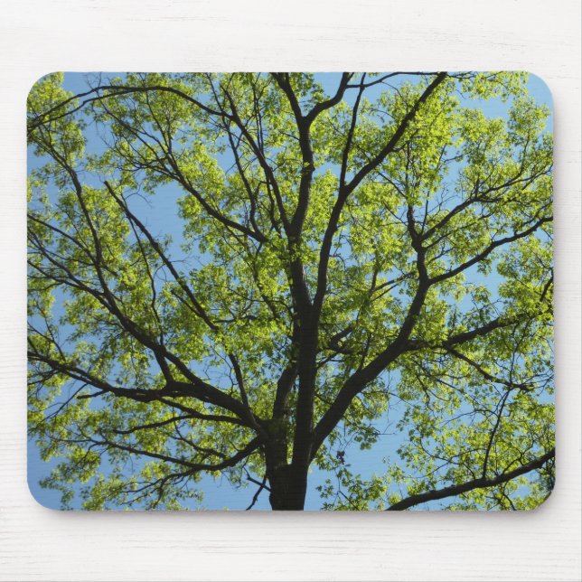 Spring Oak Tree Vibrant Nature Mouse Mat (Front)