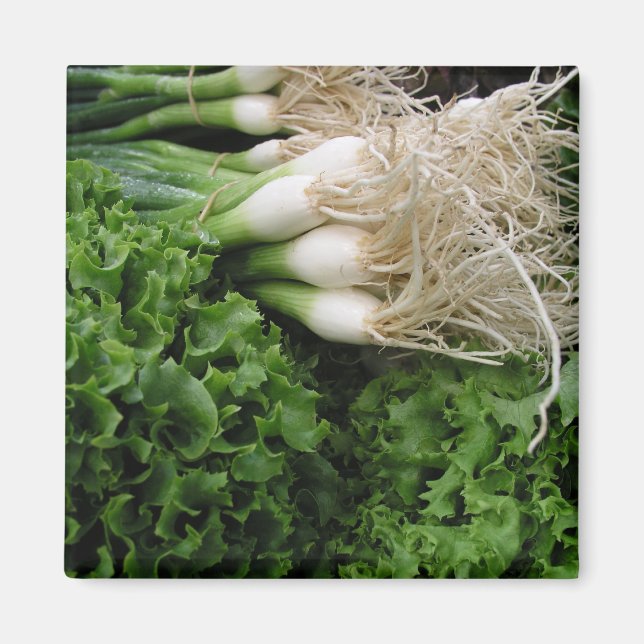 Spring onions and lettuce magnet (Front)