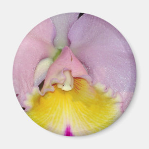 Spring Orchid Magnet