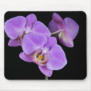 Spring Orchids Mouse Mat